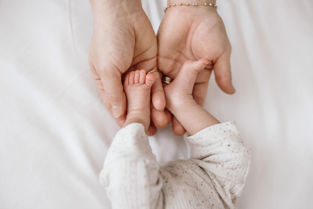 Crunchy Mom Granola (Nut Free, Refined Sugar Free, Seed Oil Free)